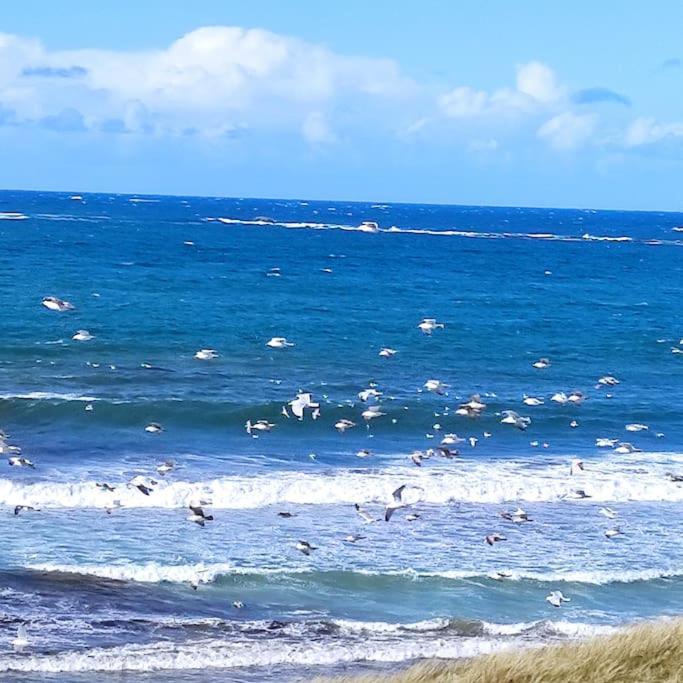 Gite Kerbourc'H Charmant Et Confortable, Mer Et Plages A 3Km, Ploudalmezeau Экстерьер фото